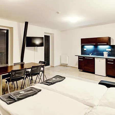 Efi Palace 3* Brno