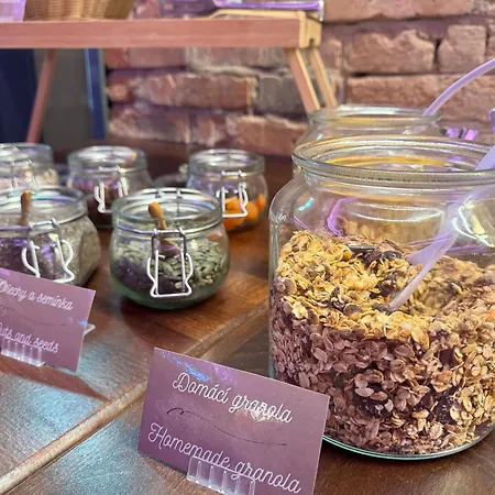 Hotell Efi Palace Brno