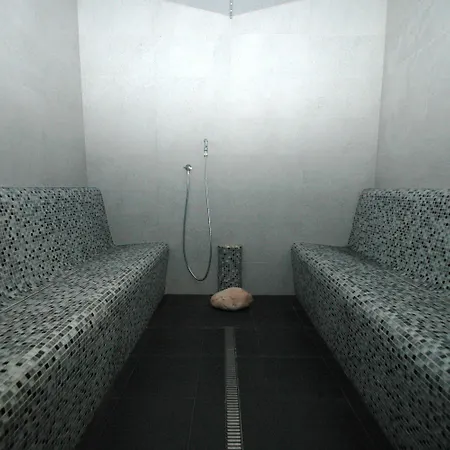 Efi Palace 3* Brünn (Brno)