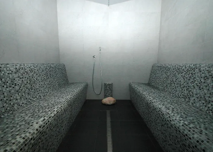 Efi Palace 3* Брно